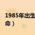 1985年出生是什么命年（1985年出生是什么命）