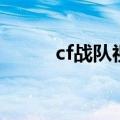 cf战队视频歌曲（cf加战队视频）