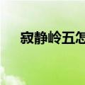 寂静岭五怎么操作（寂静岭5怎么攻击）