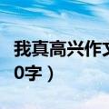 我真高兴作文300字四年级（我真高兴作文300字）