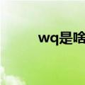 wq是啥意思缩写（wq是啥意思）