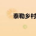 泰勒乡村音乐的歌（乡村歌手泰勒）