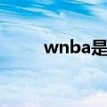 wnba是什么比赛（wnba是什么）