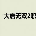 大唐无双2职业技能介绍（大唐无双2职业）