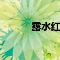 露水红颜的意思（红颜的意思）