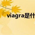 viagra是什么药图片（viagra是什么药）