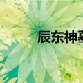 辰东神墓笔趣阁（辰东神墓续集）