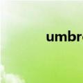 umbro是什么牌子（umbro）