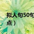 拟人句50句短一点的句子（拟人句大全短一点）