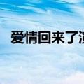 爱情回来了演员表全（爱情回来了演员表）