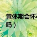 黄体期会怀孕吗月经推迟2天（黄体期会怀孕吗）