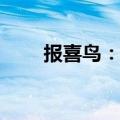 报喜鸟：拟定增2.86亿股募资8亿元