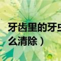 牙齿里的牙虫怎么清除图片（牙齿里的牙虫怎么清除）