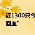 近1300只今年以来收益转正 权益类基金大“回血”