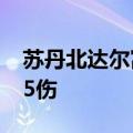 苏丹北达尔富尔州首府一市场遭炮击 致8死95伤