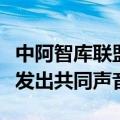 中阿智库联盟首次会议举行，就巴勒斯坦问题发出共同声音