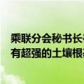 乘联分会秘书长崔东树：中国汽车不会被“卡脖子”，我们有超强的土壤根基