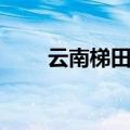 云南梯田红米营养价值（云南梯田）