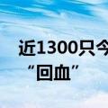 近1300只今年以来收益转正，权益类基金大“回血”