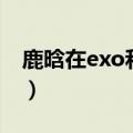 鹿晗在exo和谁关系最好（鹿晗是exo成员吗）