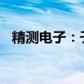 精测电子：子公司收到政府补助3000万元