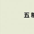 五 粮 液成交额达100亿元