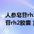 人参皂苷rh2胶囊使用说明书及用量（人参皂苷rh2胶囊）