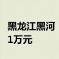 黑龙江黑河：年底前农村户籍在市区买房补贴1万元