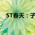 ST春天：子公司因误导宣传被罚130万元