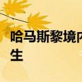 哈马斯黎境内分支机构领导人在以军空袭中丧生