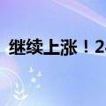 继续上涨！24年飞天茅台原箱报2390元/瓶