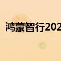 鸿蒙智行2024年9月全系交付新车39931辆