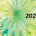 2024年国庆节票房超去年