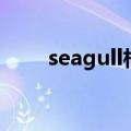 seagull相机多少钱（seagull相机）