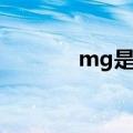 mg是什么意思（mg是什么）