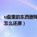 u盘里的东西删除怎么还原回收站里没有（u盘里的东西删除怎么还原）