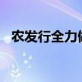 农发行全力做好2024年秋粮收购信贷工作