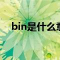 bin是什么意思英语怎么读（bin是什么）