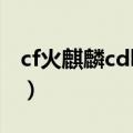 cf火麒麟cdkey兑换码（cfcdkey兑换火麒麟）