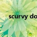 scurvy dog在海盗什么意思（scurvy）