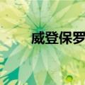 威登保罗锂电池怎么样（威登保罗）