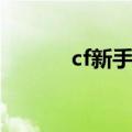 cf新手奖励（cf新手终极礼包）