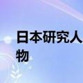 日本研究人员在20亿年前岩石中发现活微生物