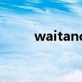 waitandsee造句（waitandsee）