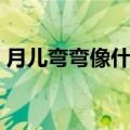 月儿弯弯像什么是什么歌（月儿弯弯像什么）