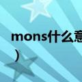 mons什么意思中文翻译（monstar什么意思）