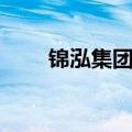 锦泓集团：拟定增募资不超过2亿元