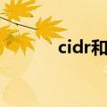 cidr和子网掩码的区别（cidr）