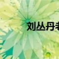 刘丛丹老公张正阳（刘丛丹老公）