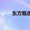 东方甄选跌幅扩大，日内跌超10%